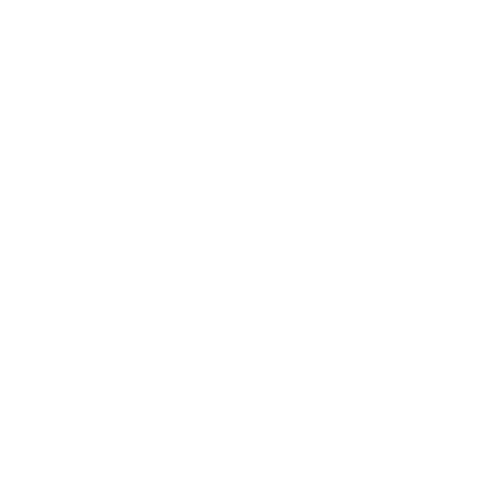 HC Lüneburg